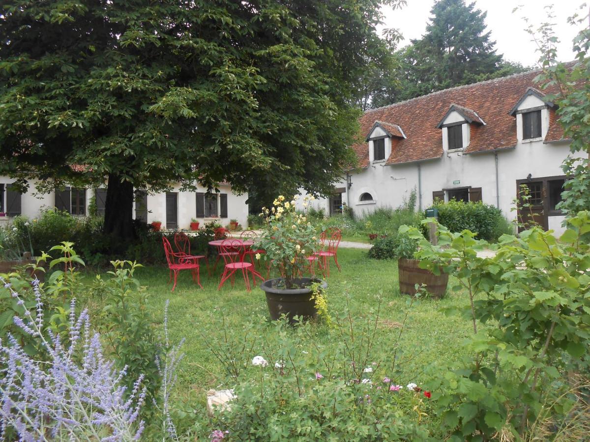 B&B La Ferme Des Bordes Pontlevoy Exteriér fotografie