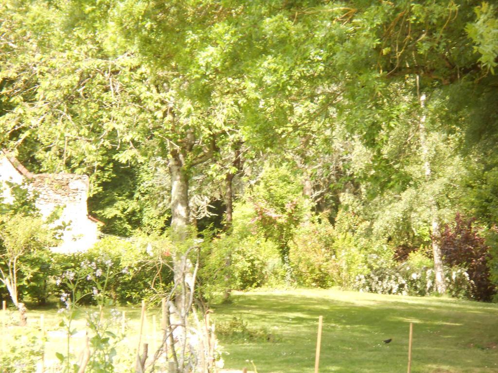 B&B La Ferme Des Bordes Pontlevoy Exteriér fotografie